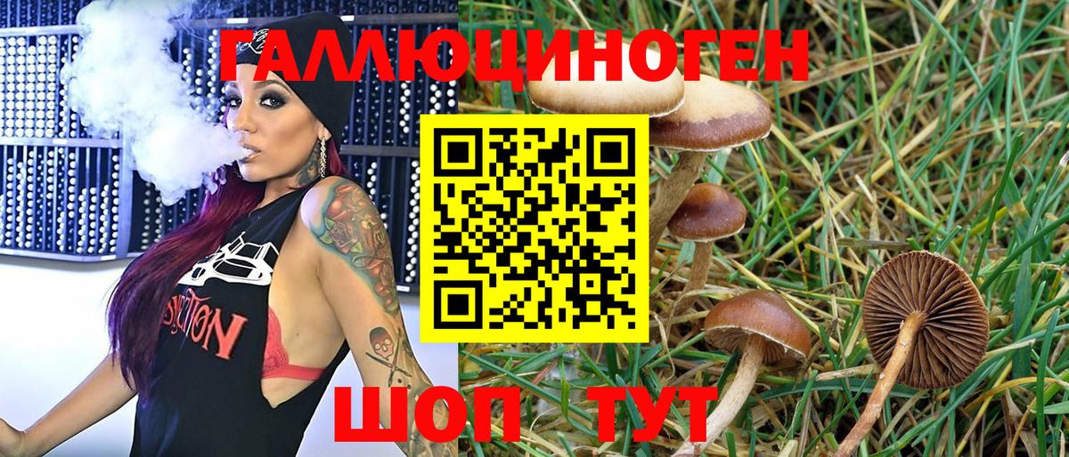 Псилоцибиновые грибы MAGIC MUSHROOMS Арсеньев