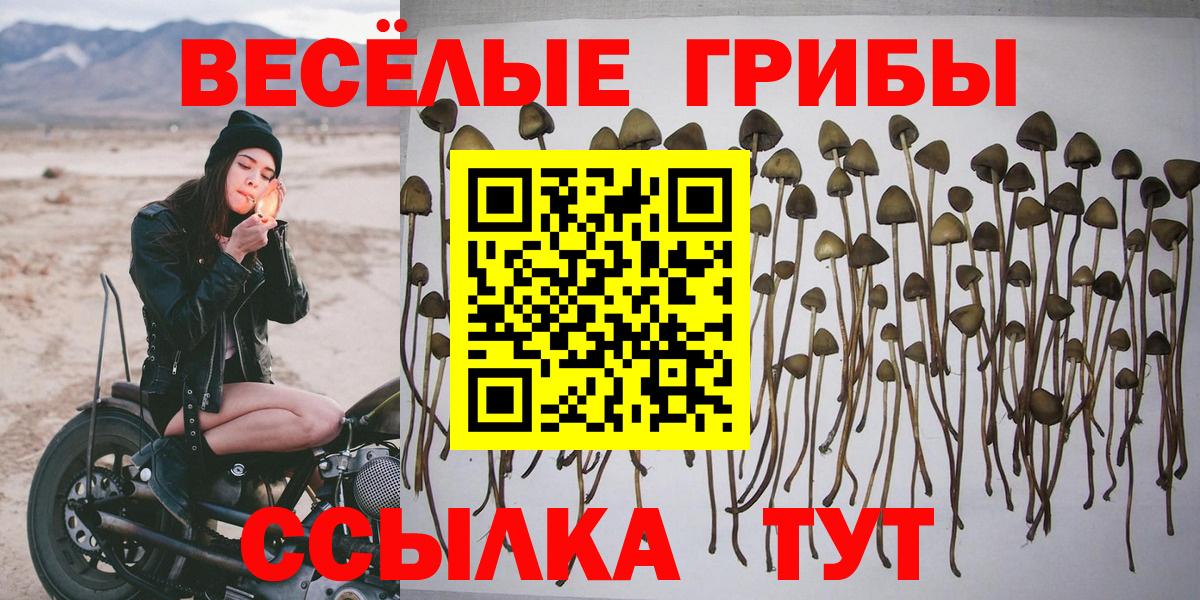 Арсеньев  Псилоцибиновые грибы Cubensis  Вход с VPN  Галлюциногенные грибы мухоморы 